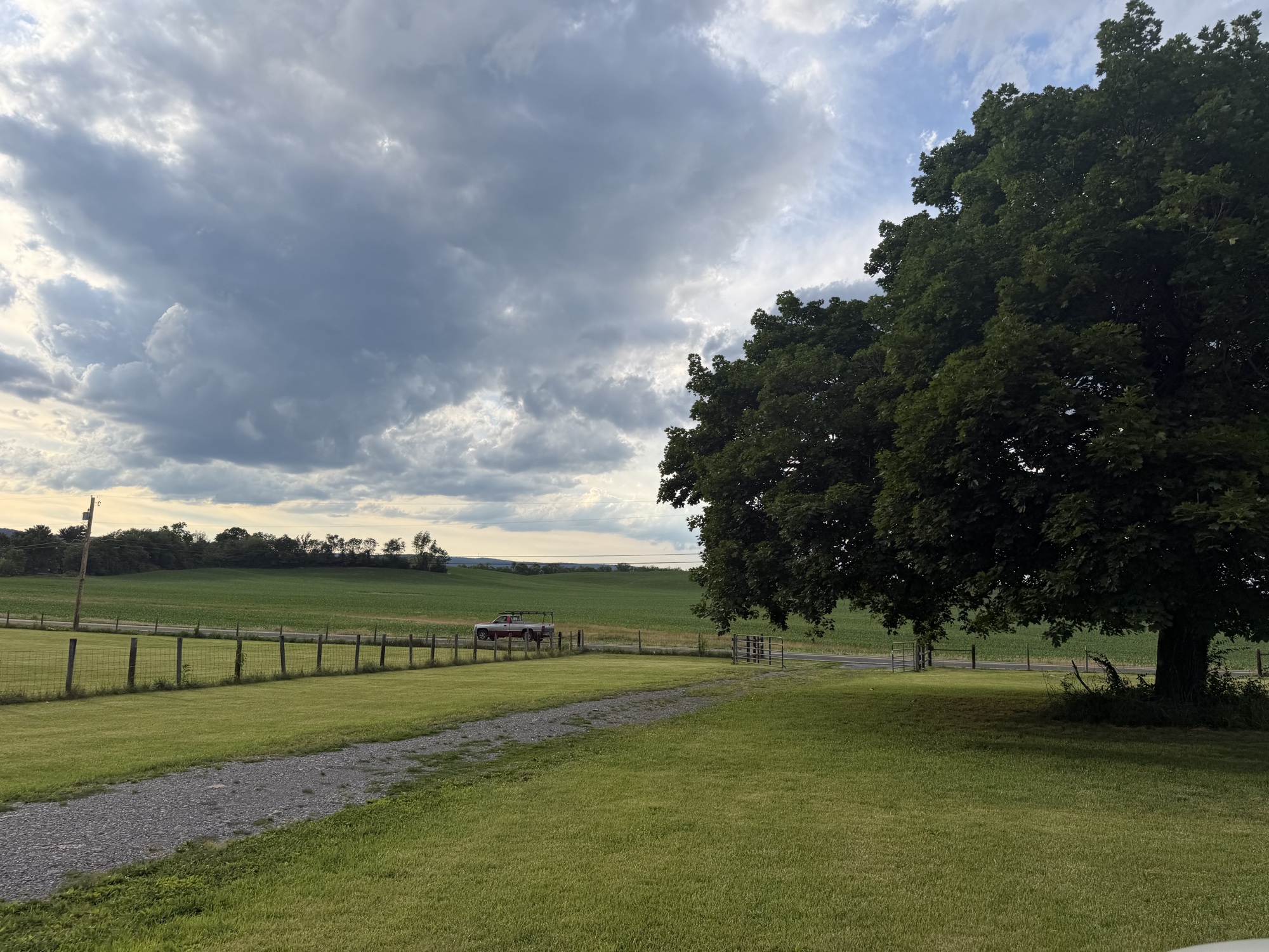 Dirt drive running alongside an open field