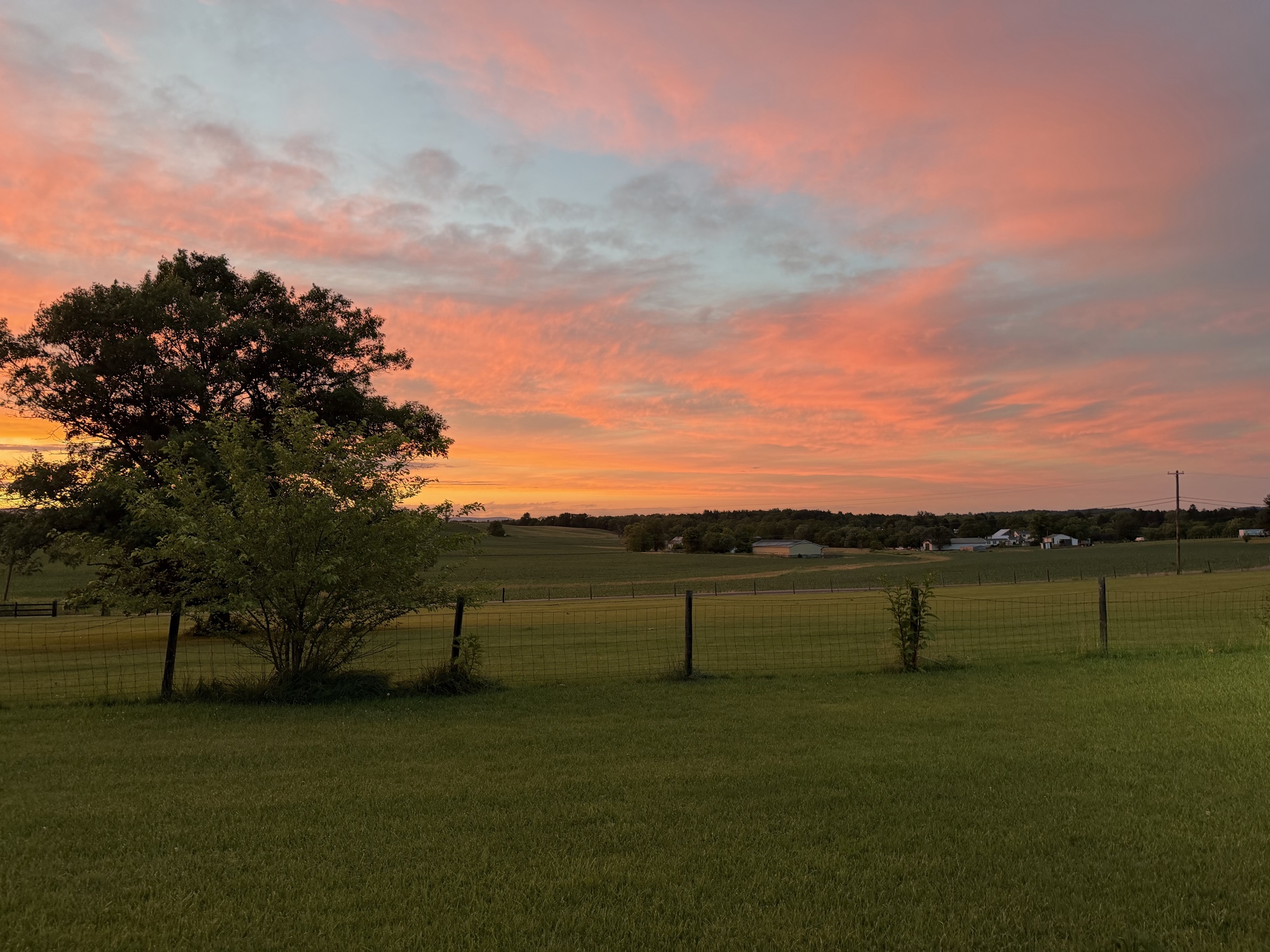 Wide open field
